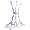 Arnés para Perro con Color Gradiente Dopamina y Correa, Arnés de Pecho para Mascota Gradiente, Cadena para Perro, Venta al por Mayor de Fábrica, Correa para Mascota Más Vendida
