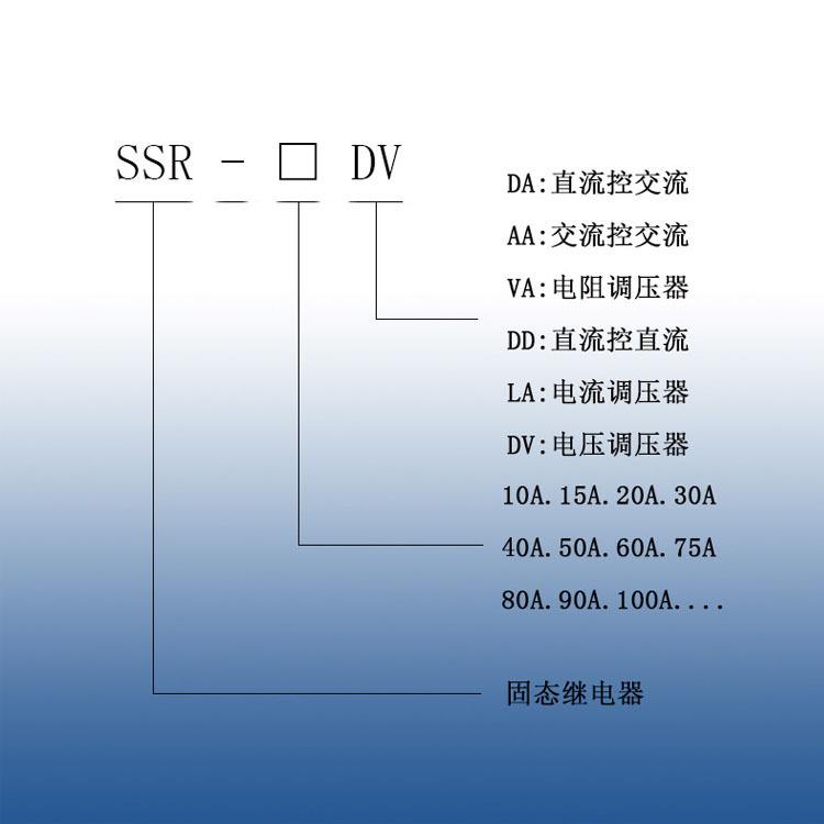 SSR-DV CC03.jpg