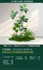 Plantas Verdes Simuladas, Paisajismo Interior a Gran Escala, Combinaciones de Paisajismo Exterior, Decoraciones de Exhibición para Ventanas de Lujo Ligero de Alta Gama, Plantas Artificiales en Maceta de Pie