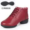 Zapatos de Baile Cuadrado, Zapatos de Baile para Mujer, Zapatos de Baile Sailor de Tacón Medio de Suela Blanda para Adultos, Zapatos de Baile, Zapatos de Actuación, Nuevo Malla E18