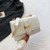 Bolso pequeño con cadena personalizada para mujer, bolso bandolera pequeño cuadrado a juego para otoño e invierno 2023.