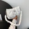 Bolso Pequeño de Diseño de Nicho para Mujer 2023 Nuevo Bolso Cruzado de Moda Verano Cadena Plegado Hombro Axila