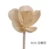 DIY Difusor de Aroma Artesanal Difusor de Óleo Essencial Varetas de Bambu Rattan Indonésio Varetas de Flor de Água Aroma Outros