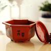 Hexagonal plástico vaso de flores resina espessado grande bonsai bonsai carnudo verde dieta clorofila simples vaso de flores atacado
