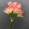 Planta Ornamental Clívia Artificial Haste Única Clívia Orquídea de Vaso Flor Única Estilo Ins