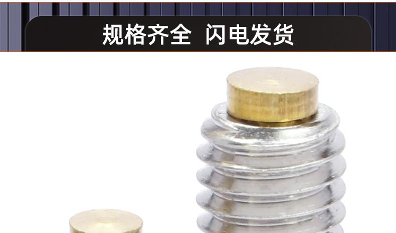 304不锈钢镶铜凸端机米螺丝_03_20.jpg