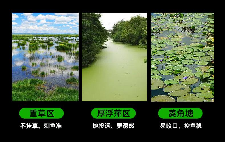 详情5.jpg