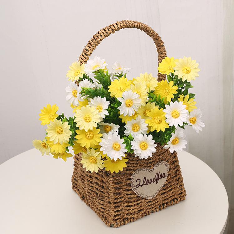 小把花邹菊4