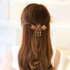 Estilo Coreano Nuevo Clip para el Cabello de Pavo Real con Diamantes y Pedrería, Pinza de Agarre, Pinza de Cangrejo para el Cabello con Espiral de Goteo de Aceite, Moda, Accesorios para el Cabello para Mujer