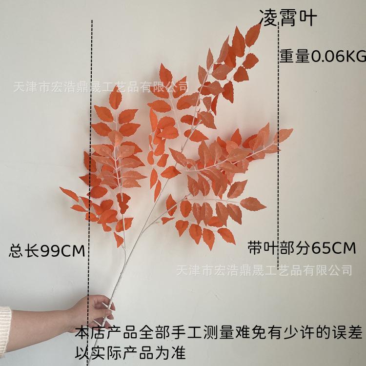尺寸图