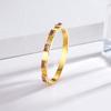 Pulsera de Acero de Titanio con Diamantes de Colores de Nueva Moda Transfronteriza Europea y Americana para Mujer, Pulsera Simple de Lujo Ligero de Gama Alta, Accesorios Versátiles de Celebridad de Internet