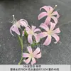 Flores Artificiais 5 Cabeças Lírio Dourado Flor Lírio de Casamento Arranjo de Flores Guia de Caminho para Salão de Casamento Lírio Dourado Decoração de Casa Flores Artificiais