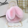 Nuevo bolso bandolera pequeño con orejas de conejo para mujer, bolso de peluche con cadena de piel sintética de conejo, bolso de moda de princesa