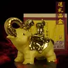 Set de Regalo Oro Mate Botellas de Vino de Cerámica Paquete de 2.5 kg Botellas de Vino en Blanco para Artesanía 2.5 kg Mayoreo