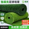 Qingzhou Césped Artificial Sin Arena Césped Artificial Profesional para Entrenamiento Escolar Fútbol Césped Artificial Interior y Exterior