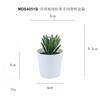 Set de Bonsái de Suculentas de Plástico Mini en Stock, Suculenta Artificial Creativa de Amazon, Flor Artificial Transfronteriza Planta en Maceta Pequeña