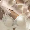 133-30# Lencería de Encaje para Mujer de Busto Grande Hace que el Busto Pequeño Tazas de Oreja de Conejo Soporte de Relleno Transpirable Anti-Caída Sujetador