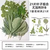 Espécimes de Plantas com Folhas Reais de Outono, Adesivos Artesanais, Flores Secas, Flores Prensadas, Pinturas Decorativas de Folhas DIY, Marcadores de Página de Plantas
