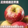2025 Maçãs Feias Frescas de Zhaotong, Yunnan, Cidade de Zhaotong, Maçãs Feias Coração de Açúcar, Fruta Fuji Vermelha para Grávidas, na Época