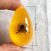 Colgante de Ámbar con Espécimen de Insecto Real Ámbar Insecto Gota de Agua con Forma de Insecto Escorpión Mariposa Abeja Flor Ámbar Transmisión en Vivo Venta al por Mayor