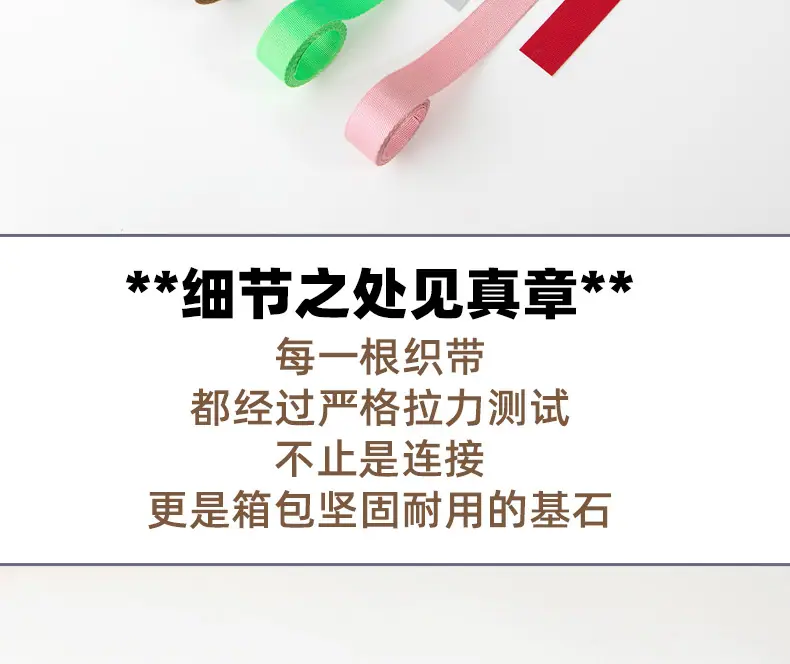 仿尼龙加密织带_04.jpg