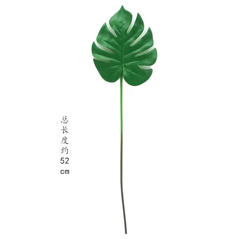 未标题-1_副本