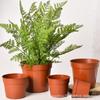 Macetas de Plástico para Plantación de Verduras en Balcón, Plantas Verdes en Maceta, Macetas para Cultivo de Flores Suculentas, Macetas para Control de Raíces, Macetas de Plantación Grandes Engrosadas