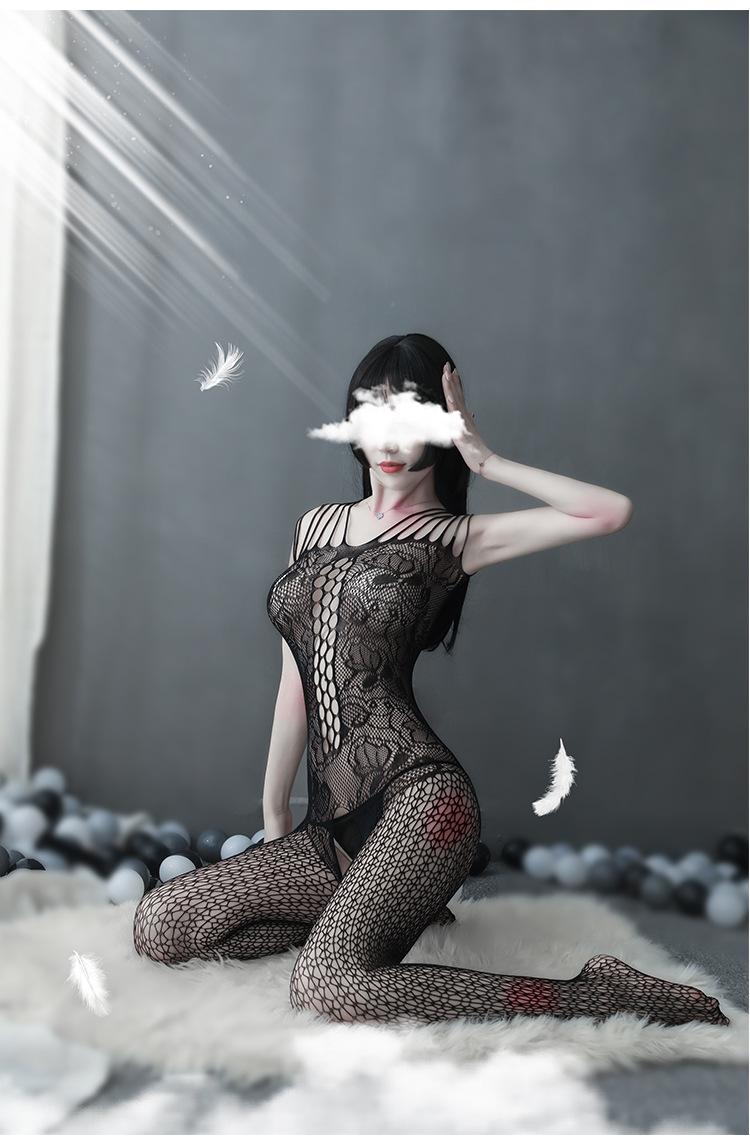 w269_11.jpg