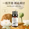 Lótus Planta de Lótus Óleo Essencial Único Atacado Transfronteiriço Sabonete Refrigerado Perfume Aromaterapia para Carro Aromaterapia 10ml Processamento