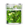 Polvo de Brillo para Uñas Transfronterizo Lentejuelas con Forma Polvo de Zafiro Ultra-delgado Super Brillante Láser Relleno de Pegamento para Uñas Desgastable
