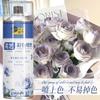 Spray de flores color floral azul hielo ramo flor seca tinte floristería especial color para pintar uno mismo material spray BD
