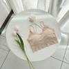 Ropa interior de encaje de seda de hielo con parte superior de tubo en la espalda para chica, con tirantes en la espalda y almohadilla para el pecho, ropa exterior sexy para chica, pecho envuelto