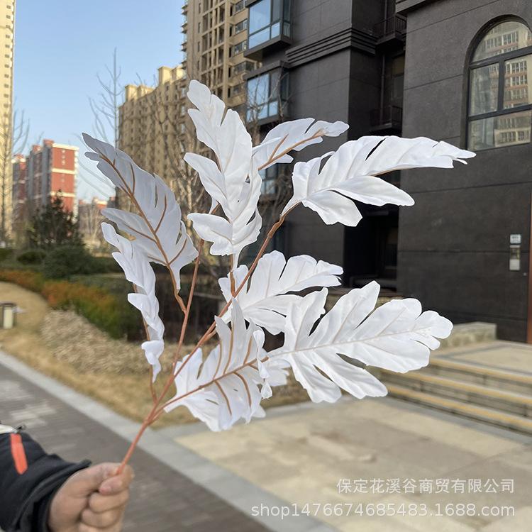 白色.JPG