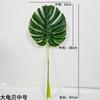 Nuevas Decoraciones de Interior de Plantas Simuladas, Accesorios de Plástico Creativos, Polo Largo de Goma Suave Simulada, Hojas Verdes Grandes de Dorso de Tortuga