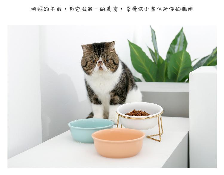 金架圆边猫碗_12.jpg