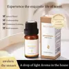 Aceites Esenciales de Aromaterapia Solubles en Aceite de Amazon, Máquina de Aromaterapia de Dos Fluidos, Velas de Uso Único, Aceites Esenciales Compuestos para DIY, Todo en Inglés