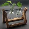 Planta hidropônica criativa vaso de madeira transparente desktop pequeno recipiente fresco sala de estar decorações modernas