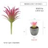 En existencia Simulación de hierba de aire carnosa falsa Planta en maceta Decoración de escritorio Regalo Mini planta verde Bonsai TEMU Planta de simulación