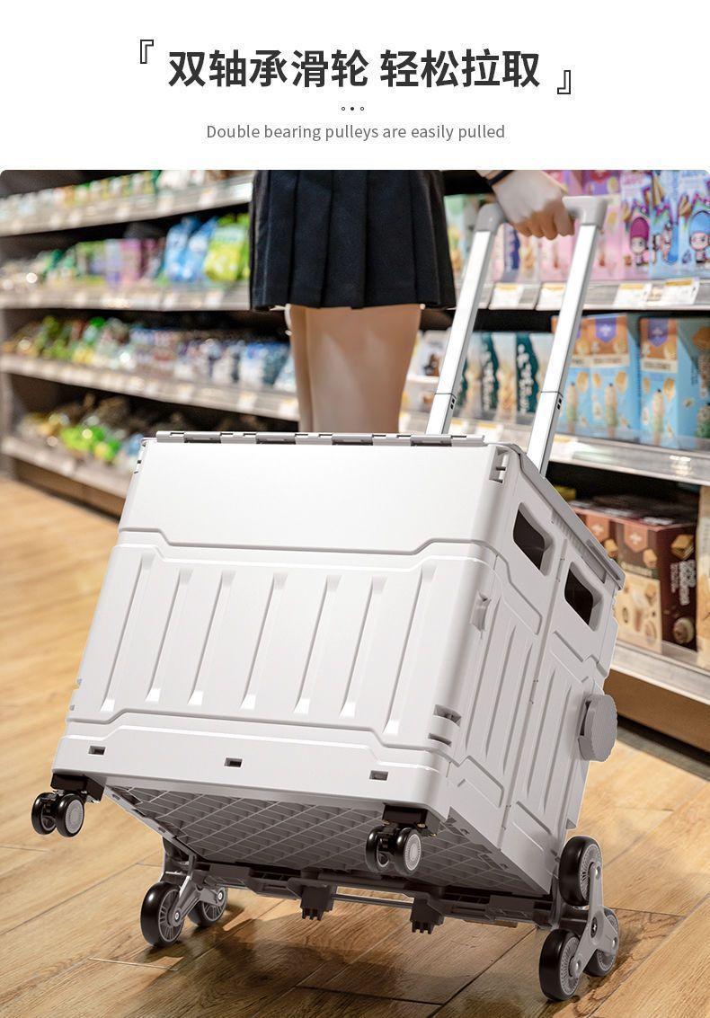 3e0b4920-8208-4c4b-9e66-9b5218ac0a8c.jpe