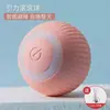 Juguete Eléctrico Nuevo para Gatos, Bola de Gravedad Rodante Inteligente con Rompecabezas, Auto-Placer y Juguete Duradero para Gatos, Suministros para Mascotas