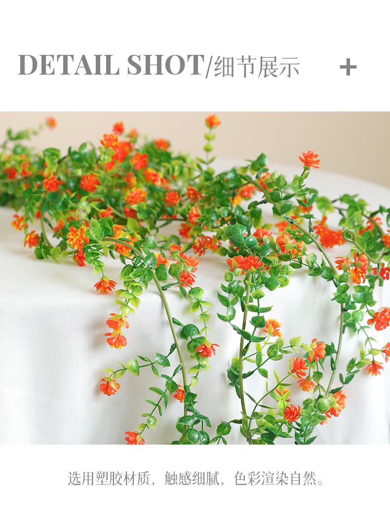 如缕6尺花藤_11.jpg