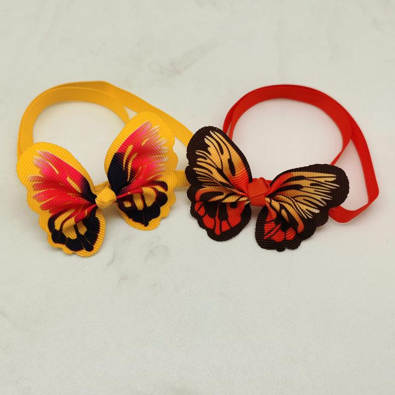 IMG_20230107_155642_副本