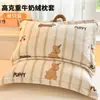 Funda de Almohada de Terciopelo de Leche Engrosada 48X74cm Paquete Doble Invierno para Niños y Adultos Funda Interior para Almohada Individual del Hogar