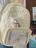 Mochila de Estilo Coreano de Nicho, Transfronteiriça, para Alunas do Ensino Fundamental e Médio, Mochila para Universitária Estilo Floresta