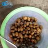 Pote de imersão de açúcar a vácuo de azeitona Pote de imersão de açúcar a vácuo de frutas cristalizadas Sucção Equipamento de imersão de açúcar de pressão negativa Pote de imersão de açúcar a vácuo