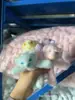 Urso de Pelúcia Boneca Pingente Ursinho Fofo Menina Enfeites para Pendurar na Bolsa Outlet da Fábrica de Bonecas