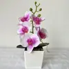 Nuevo producto transfronterizo: Mini Orquídea Phalaenopsis Bonsái, Decoración Realista para Escritorio del Hogar, Accesorio para Fotografía, Planta de Flores Artificiales