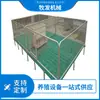 Cama para Cerditos Cama para Cerditos