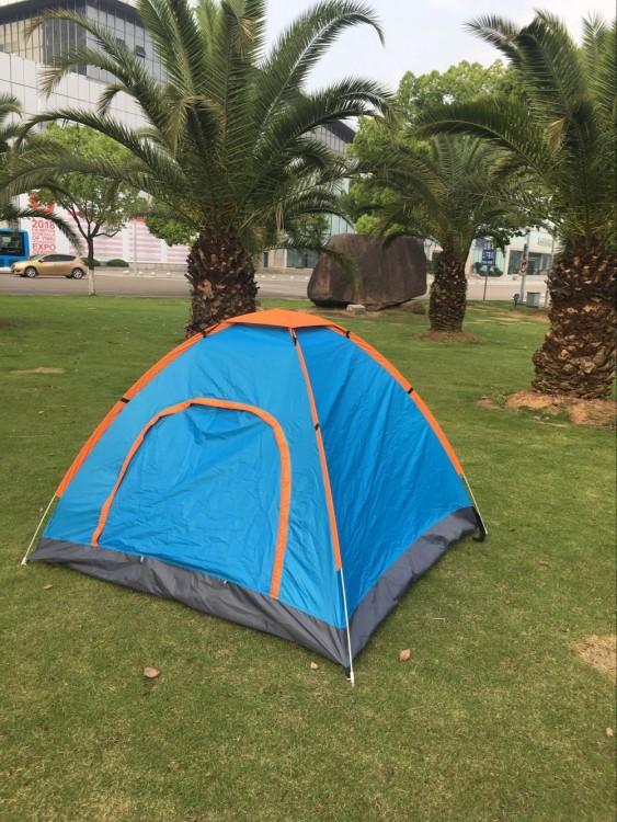 8825306860_1233569569