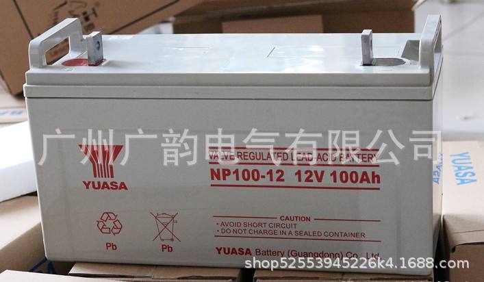 汤浅NP100-12